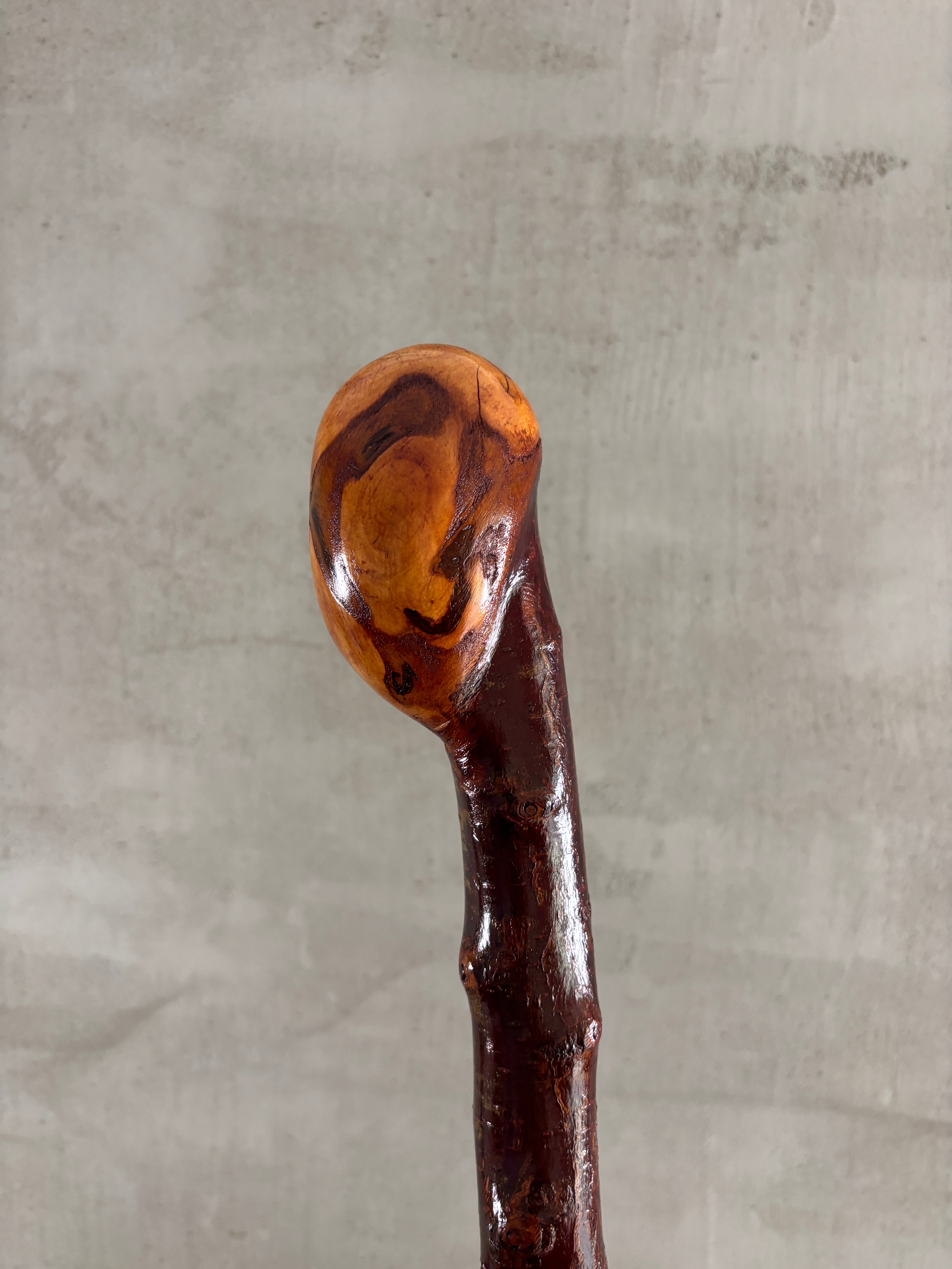 Blackthorn Shillelagh