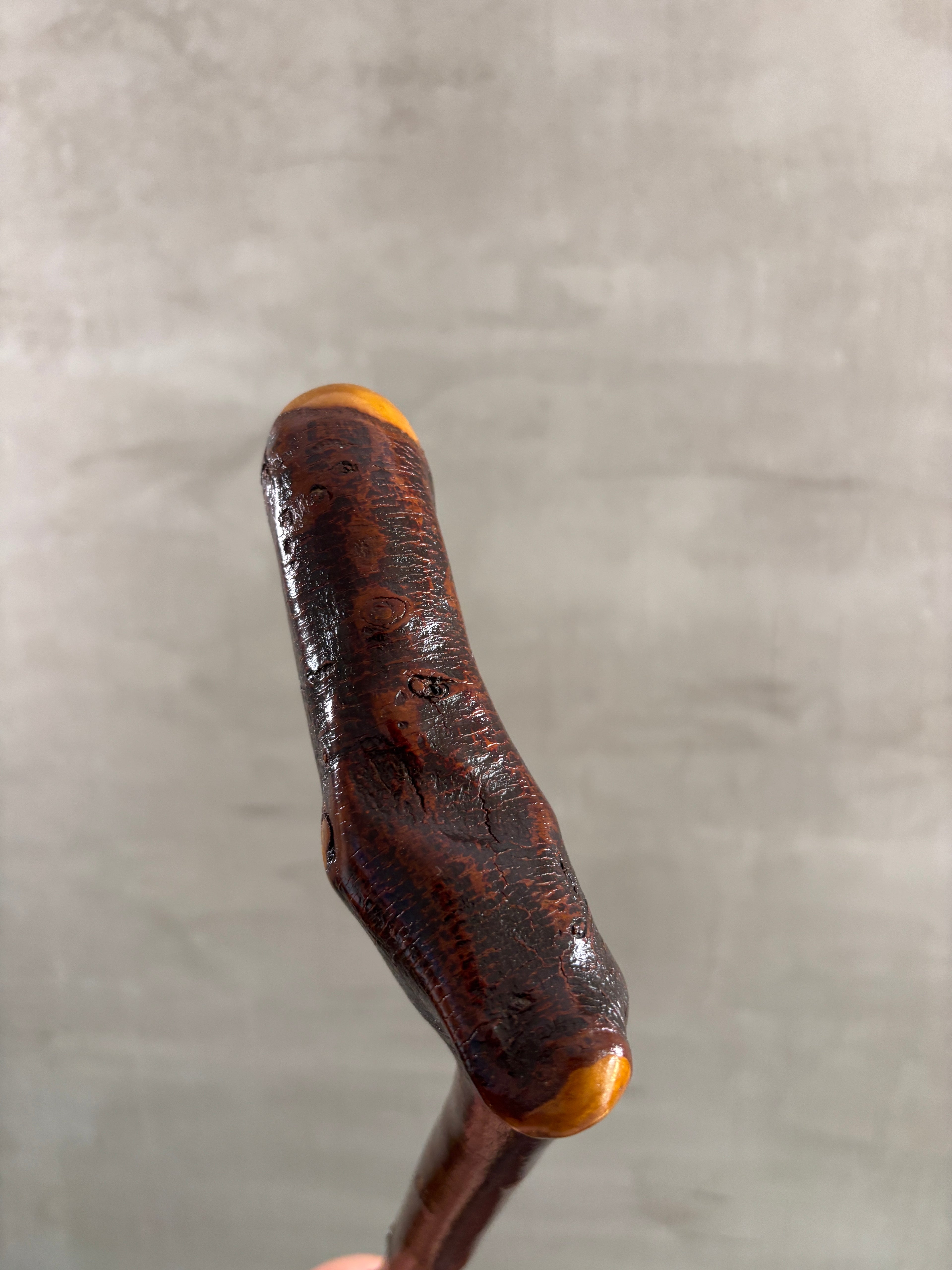 Blackthorn Walking Stick