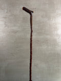 Blackthorn Walking Stick