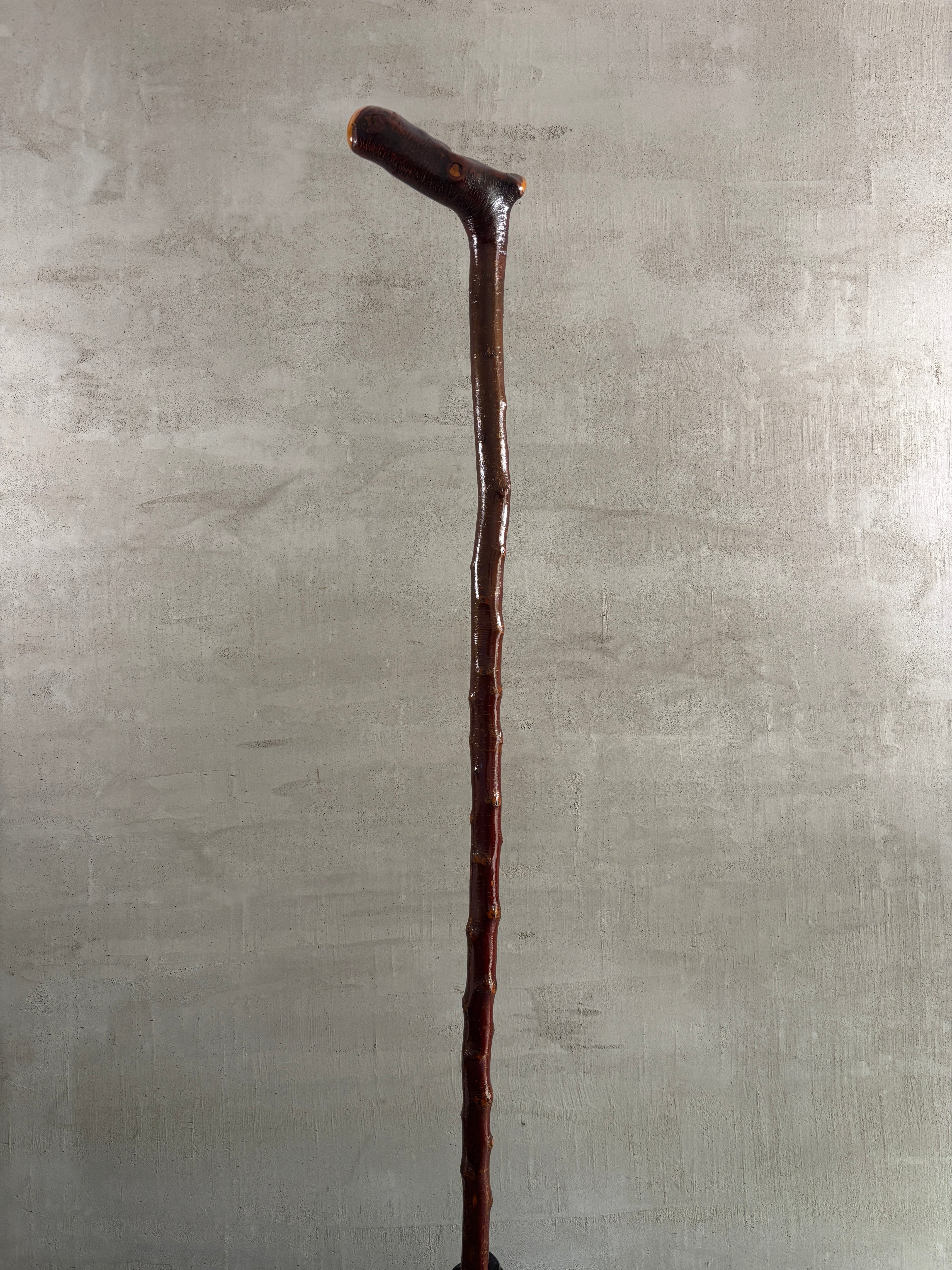 Blackthorn Walking Stick