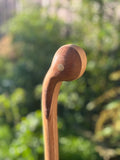 Ash & Iroko Walking Defence Stick