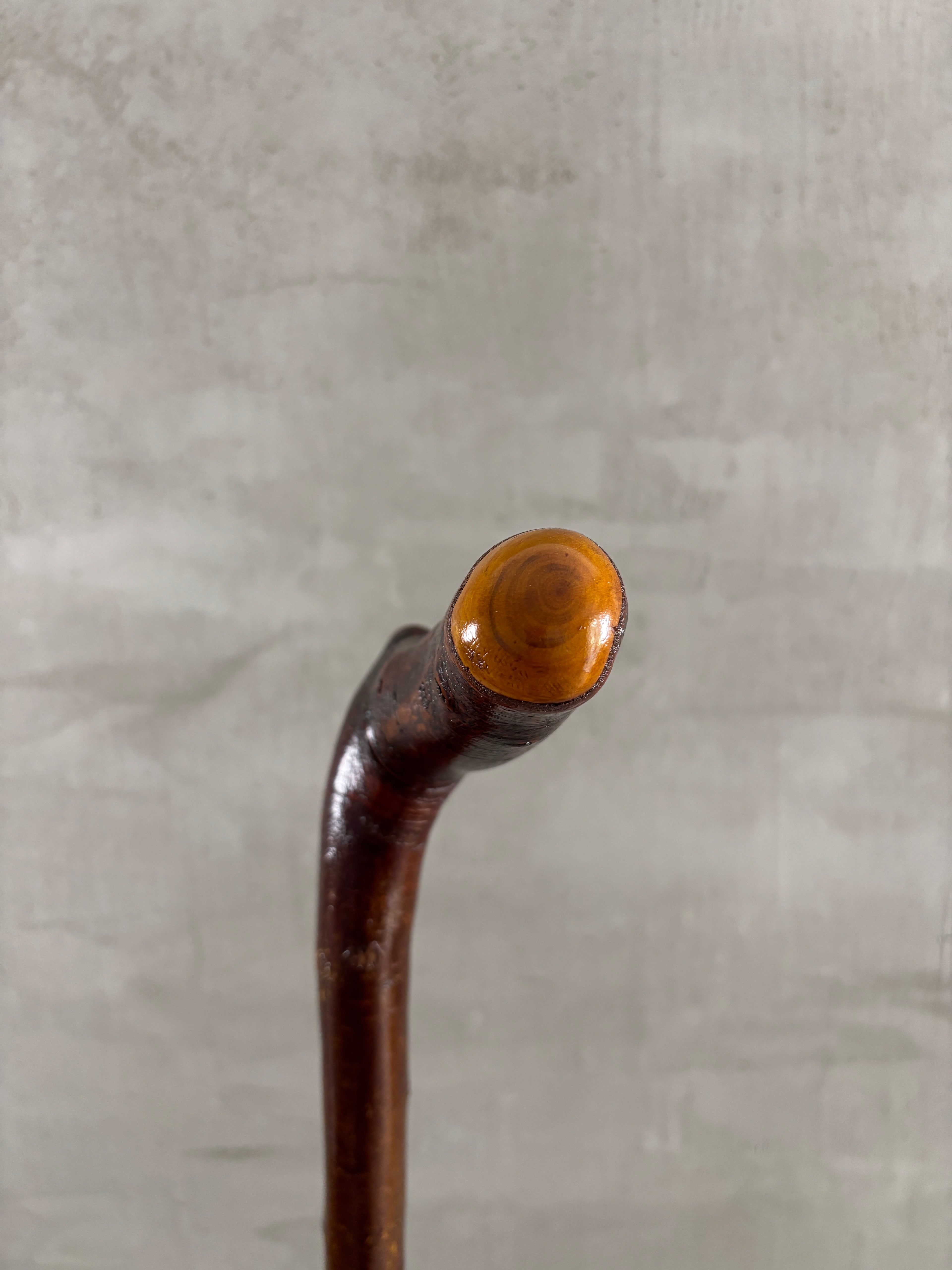 Blackthorn Walking Stick