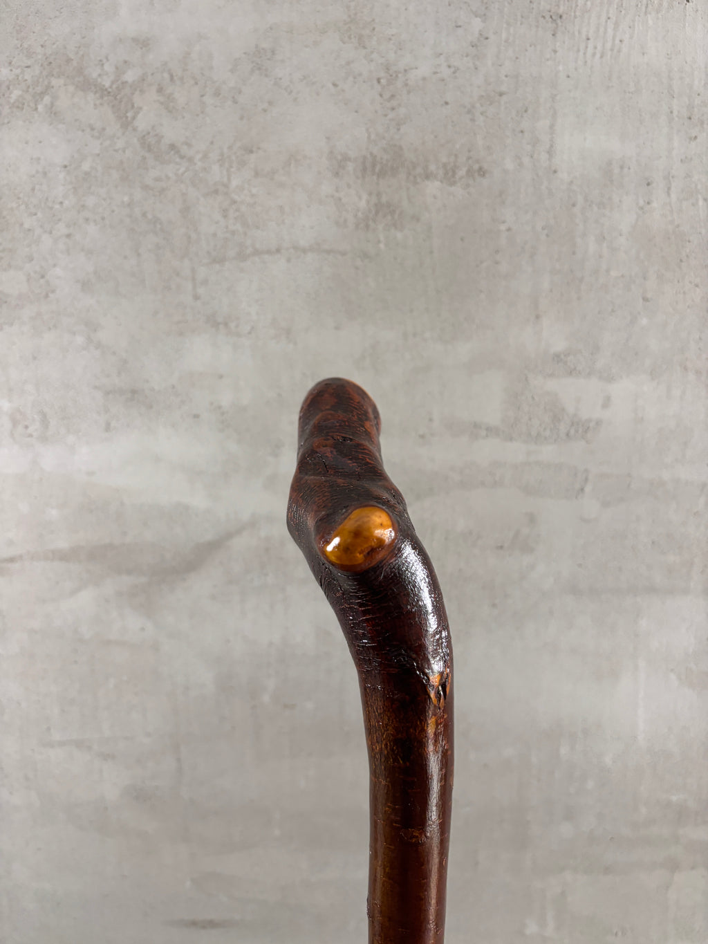 Blackthorn Walking Stick