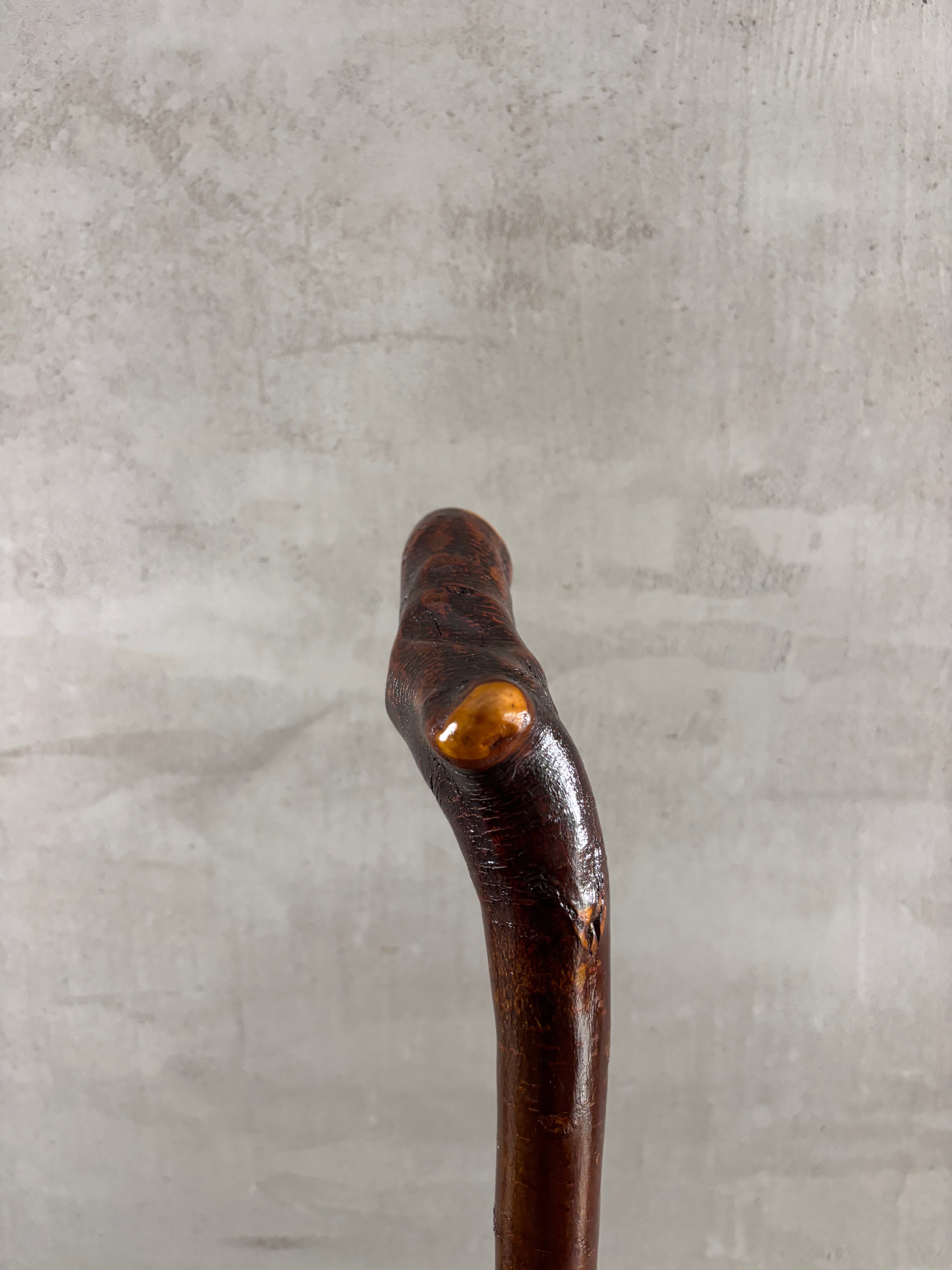 Blackthorn Walking Stick