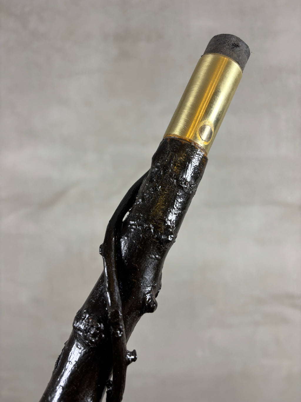 Blackthorn Wrapped Sapling