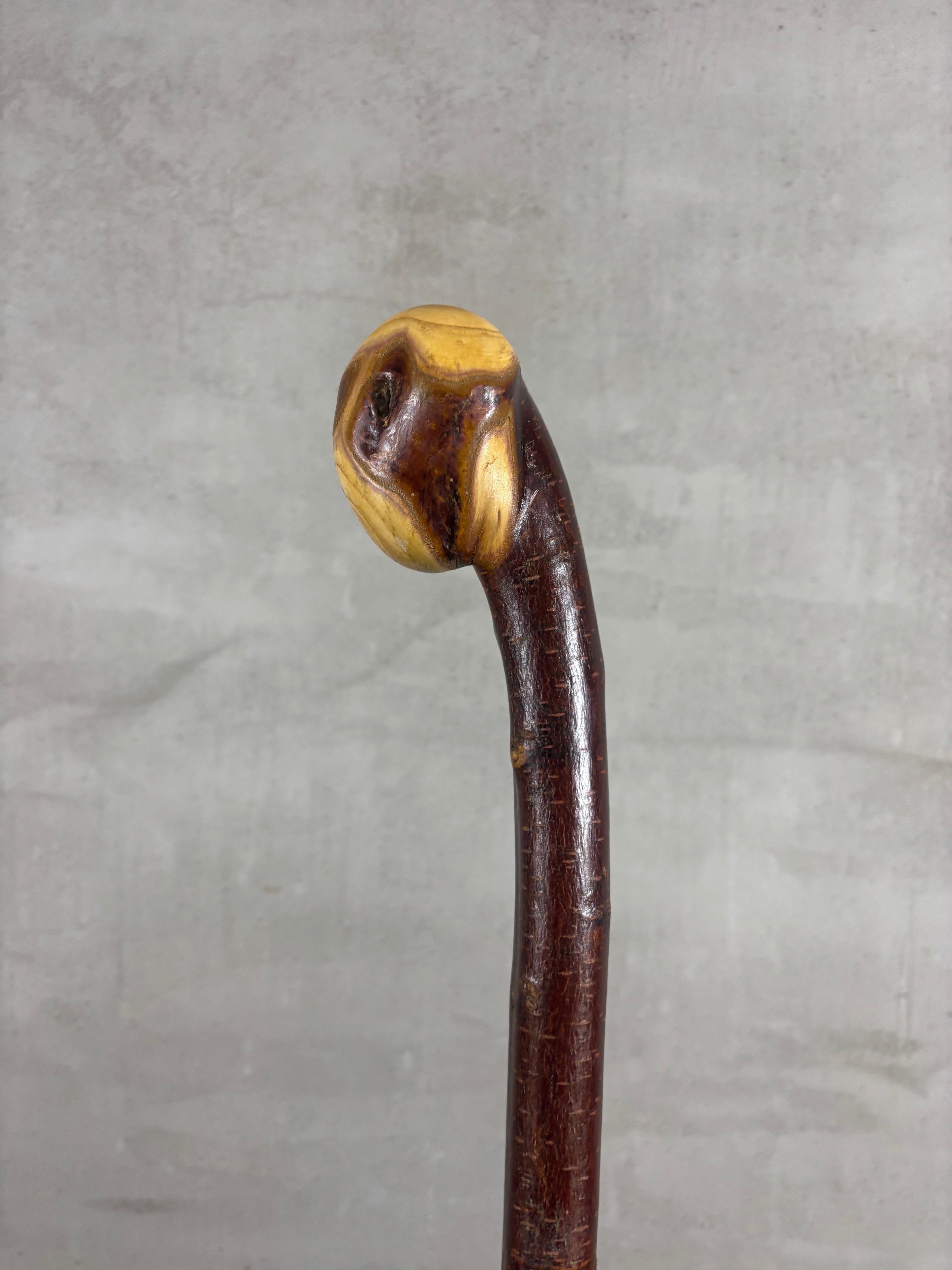 Blackthorn Shillelagh