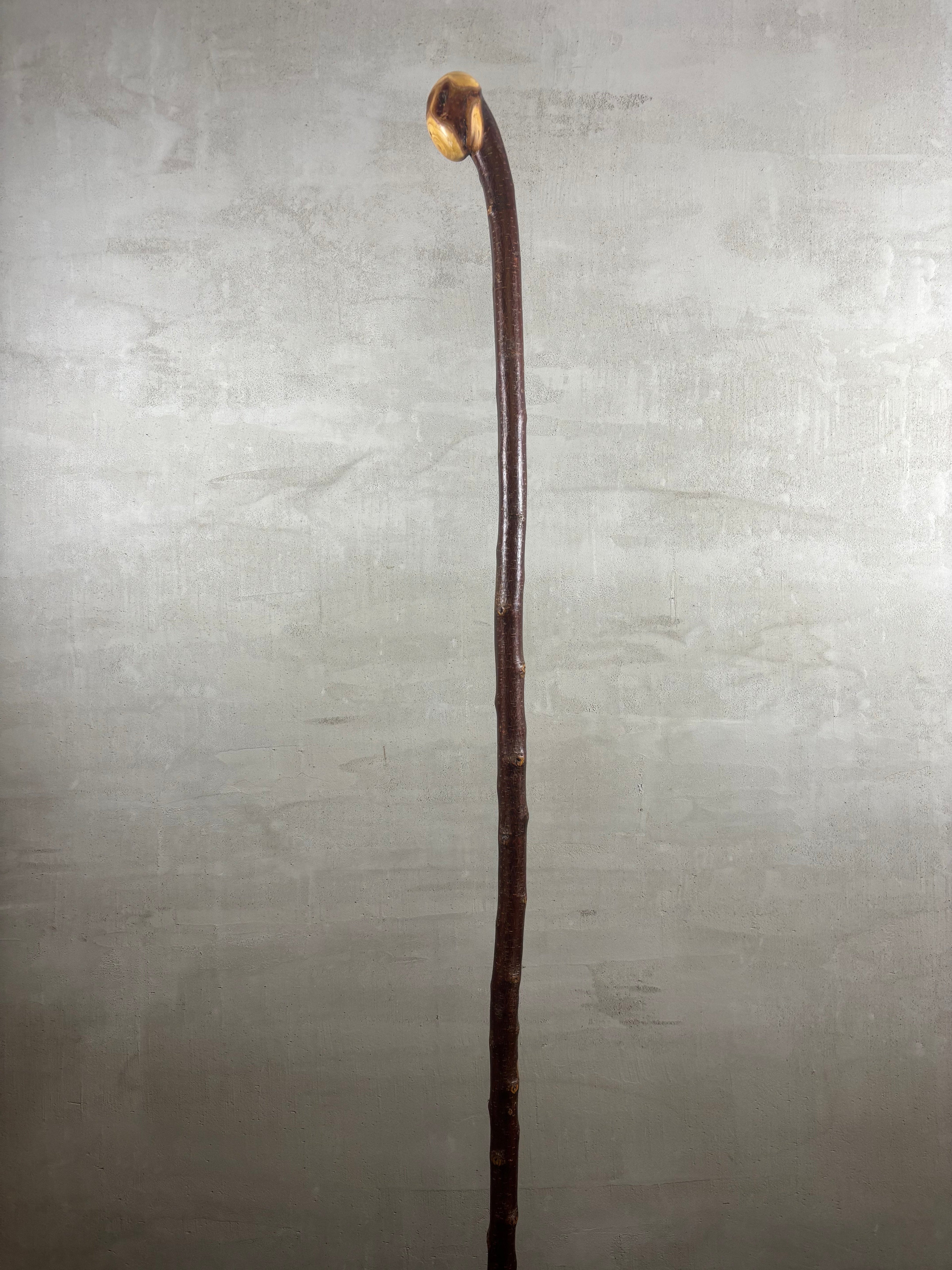 Blackthorn Shillelagh