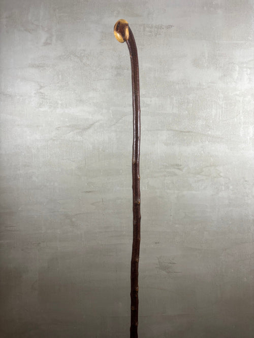 Blackthorn Shillelagh