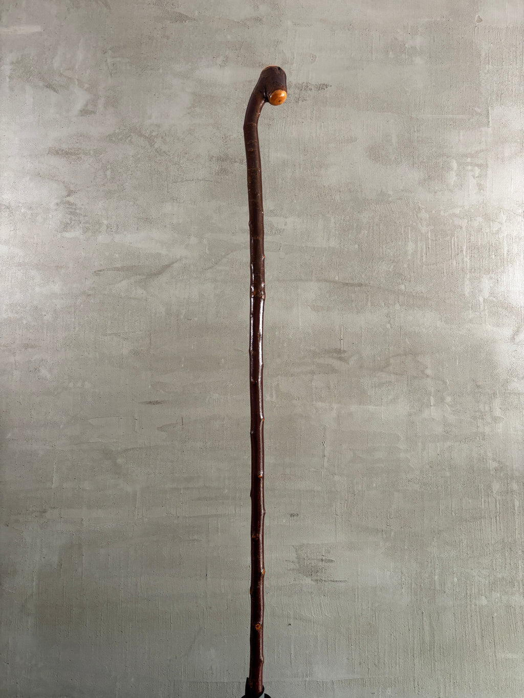 Blackthorn Shillelagh