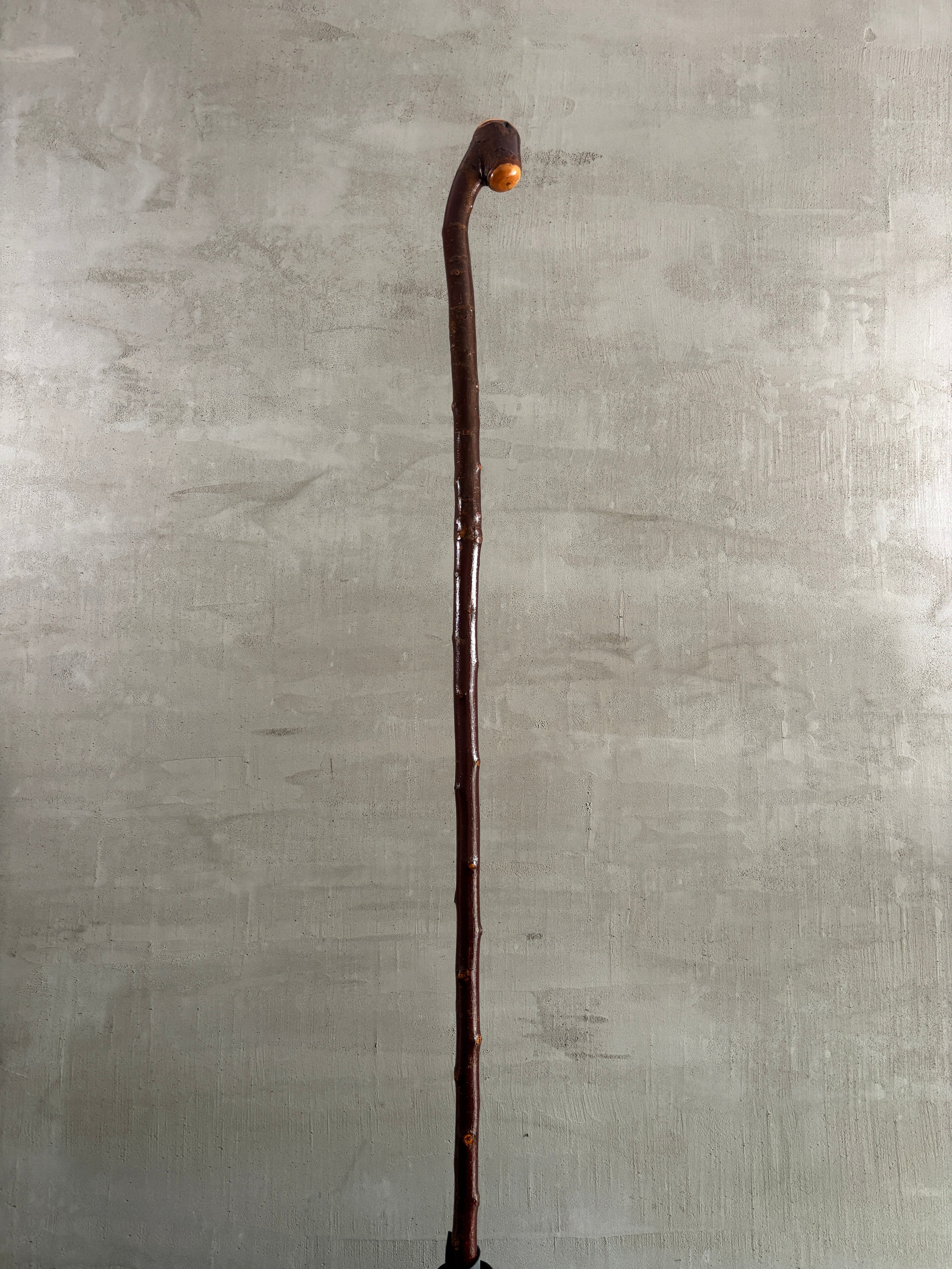 Blackthorn Shillelagh