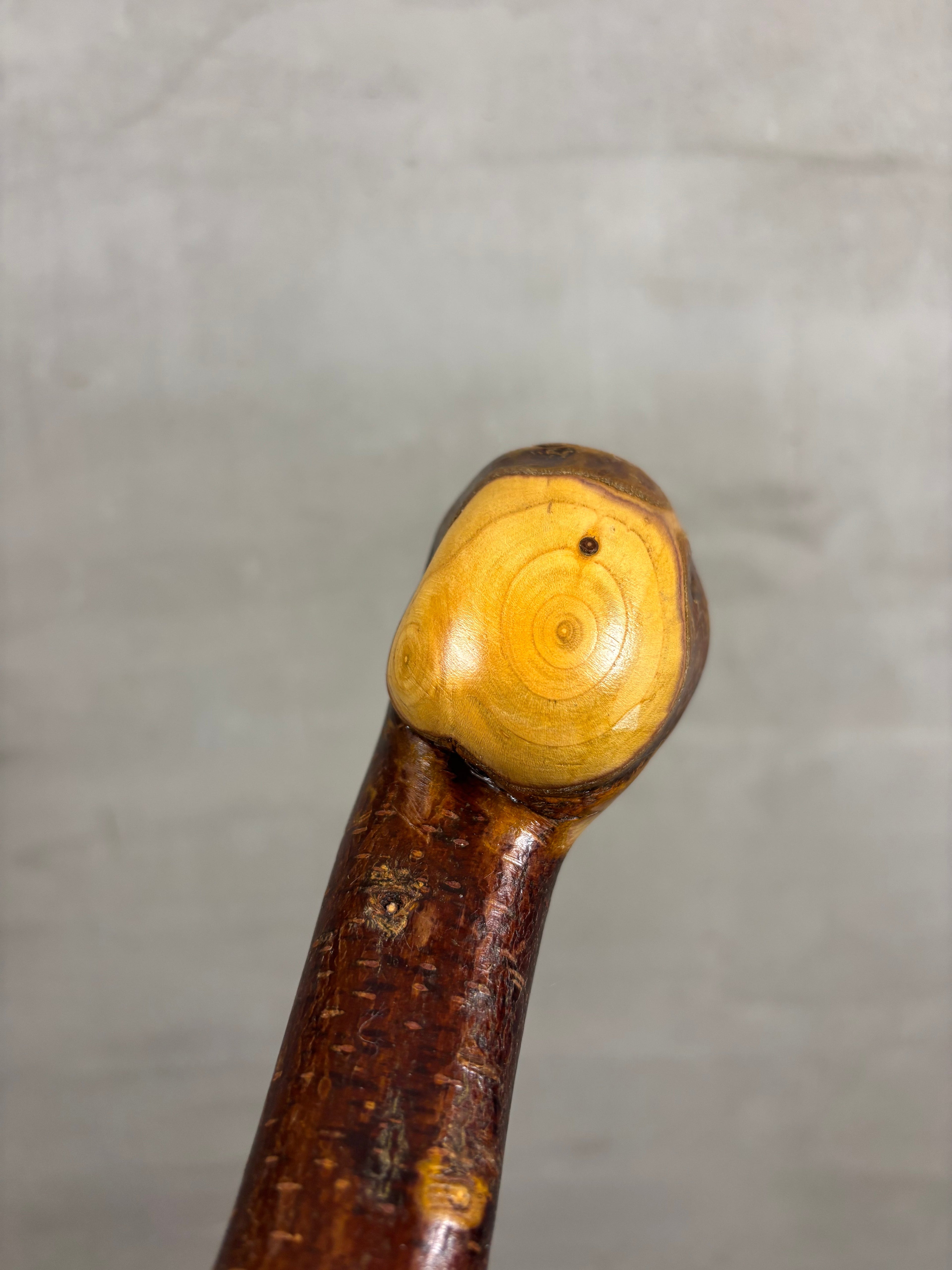 Blackthorn Shillelagh