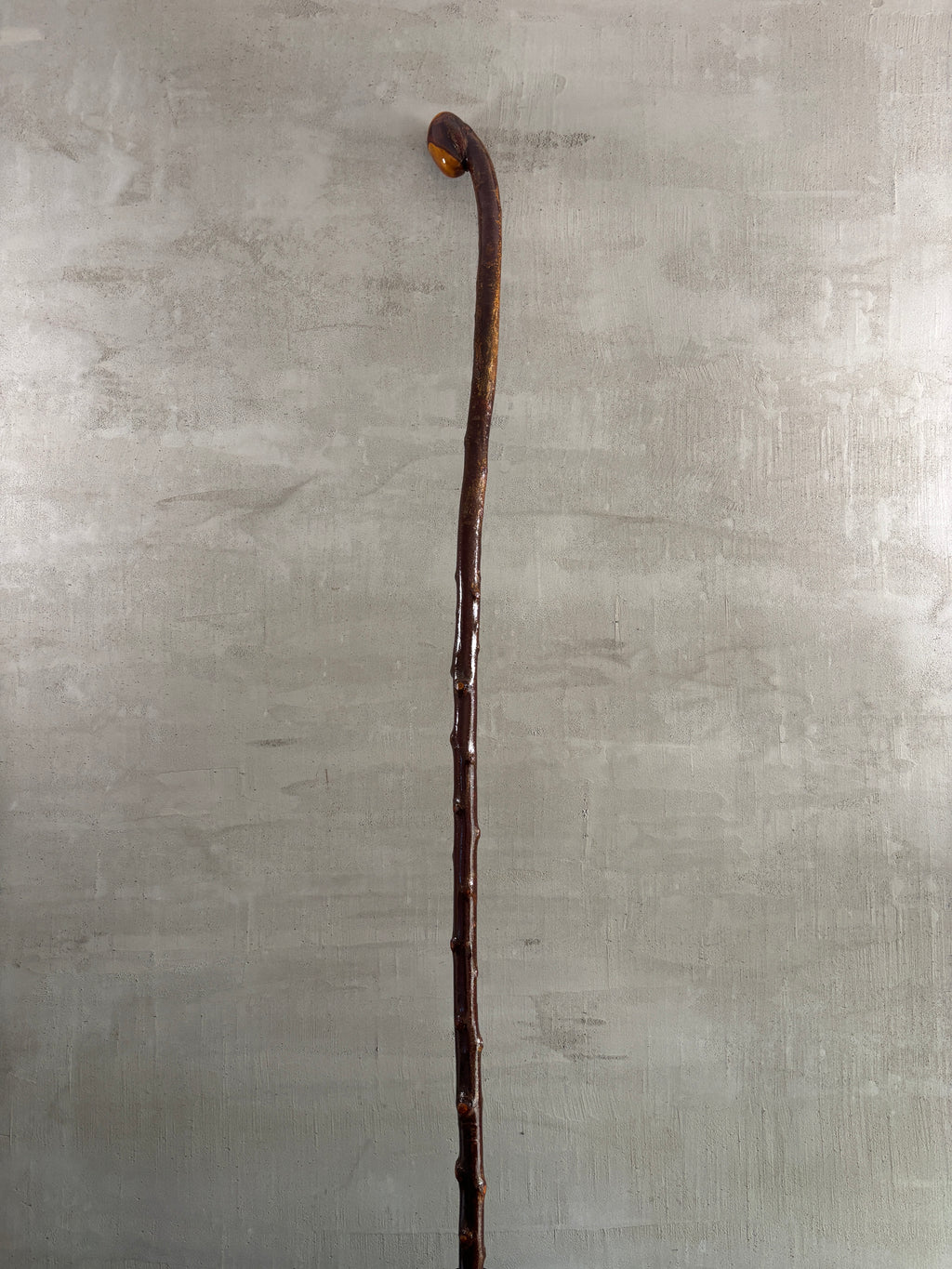 Blackthorn Shillelagh