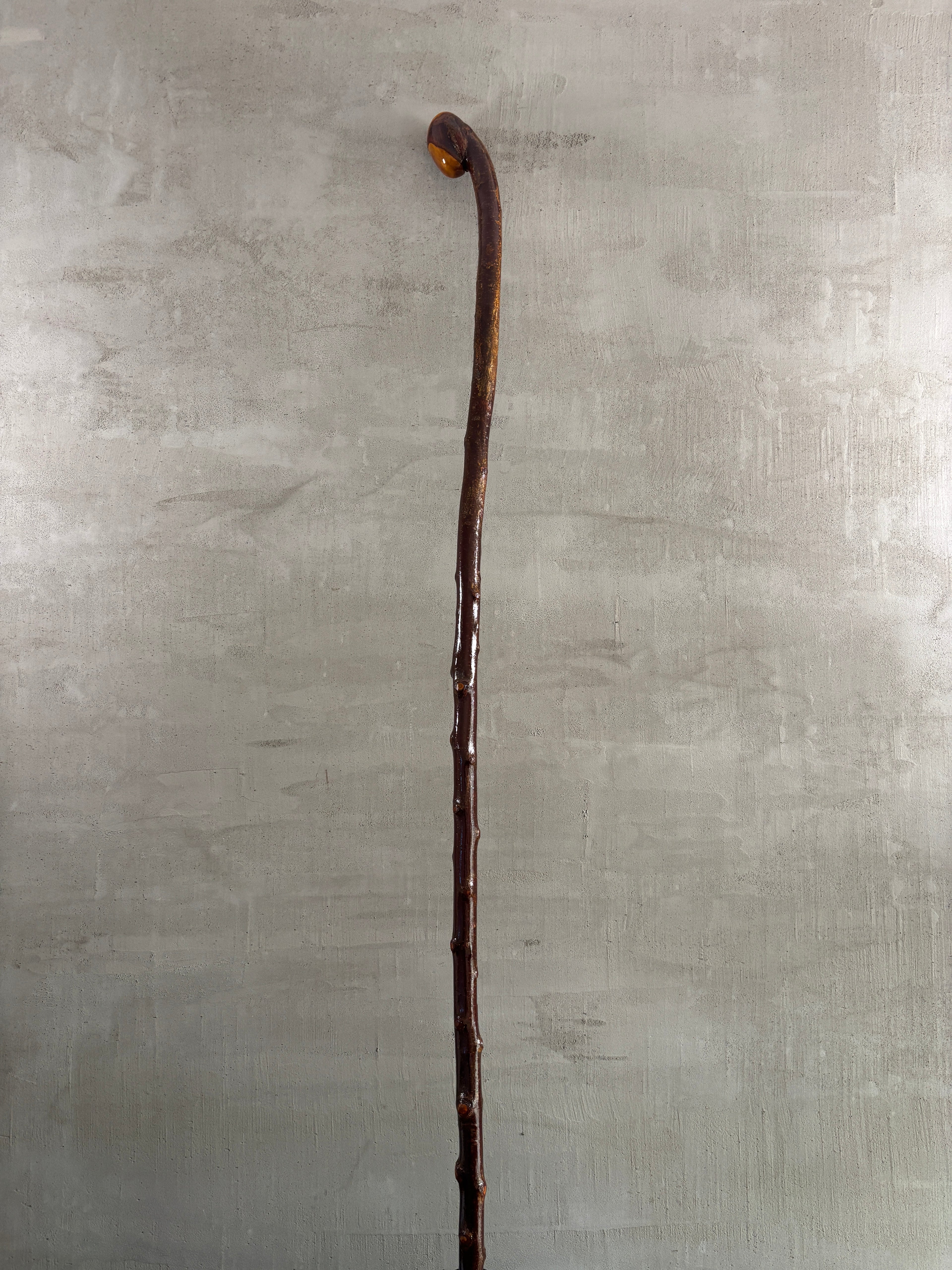 Blackthorn Shillelagh