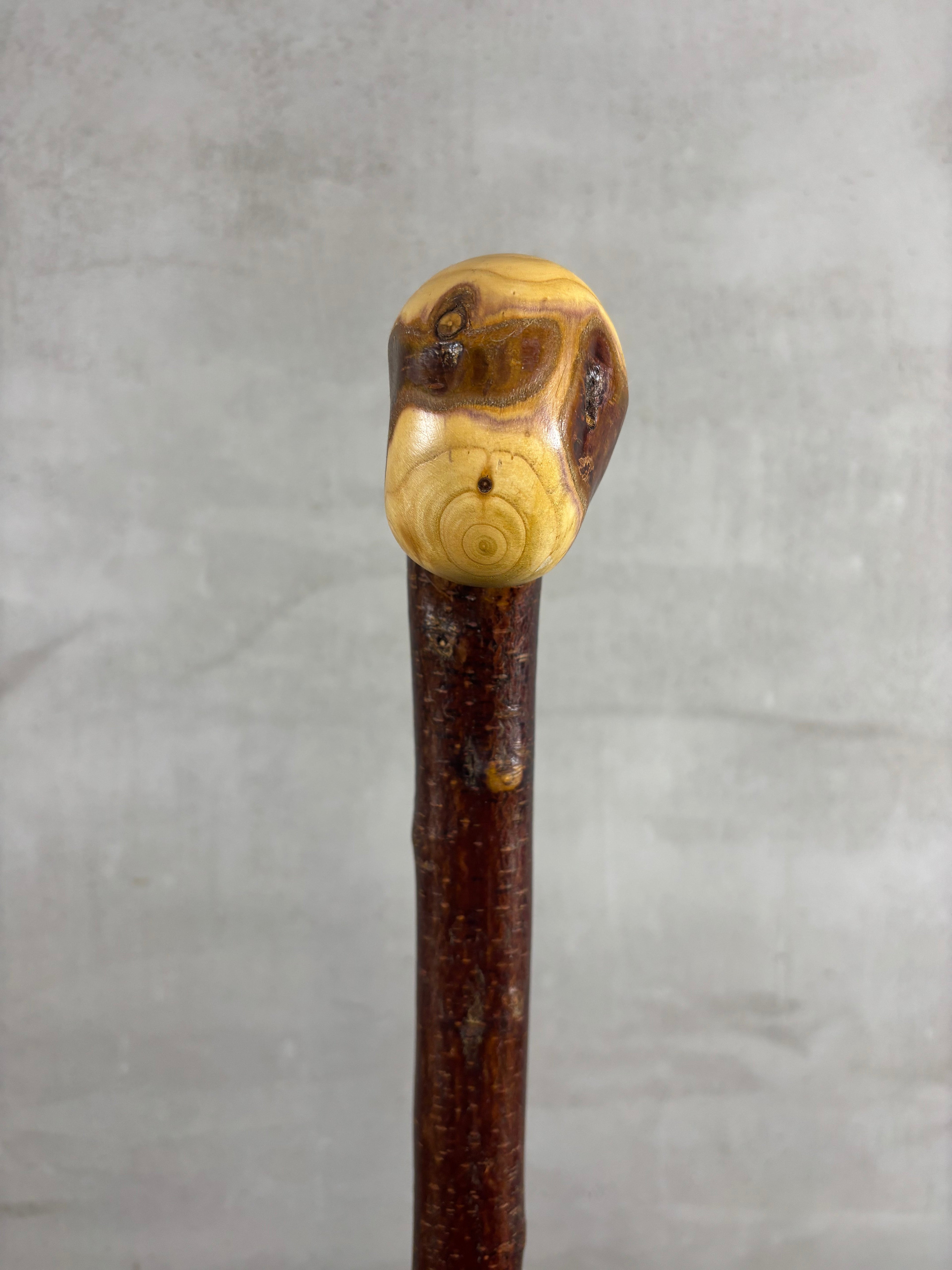 Blackthorn Shillelagh