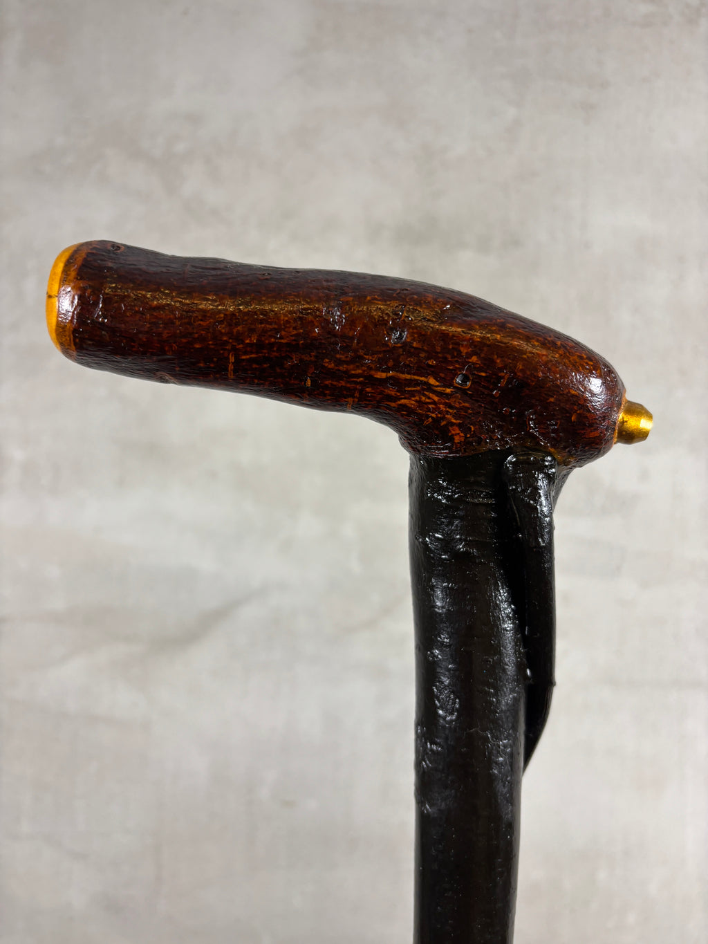 Blackthorn Wrapped Sapling