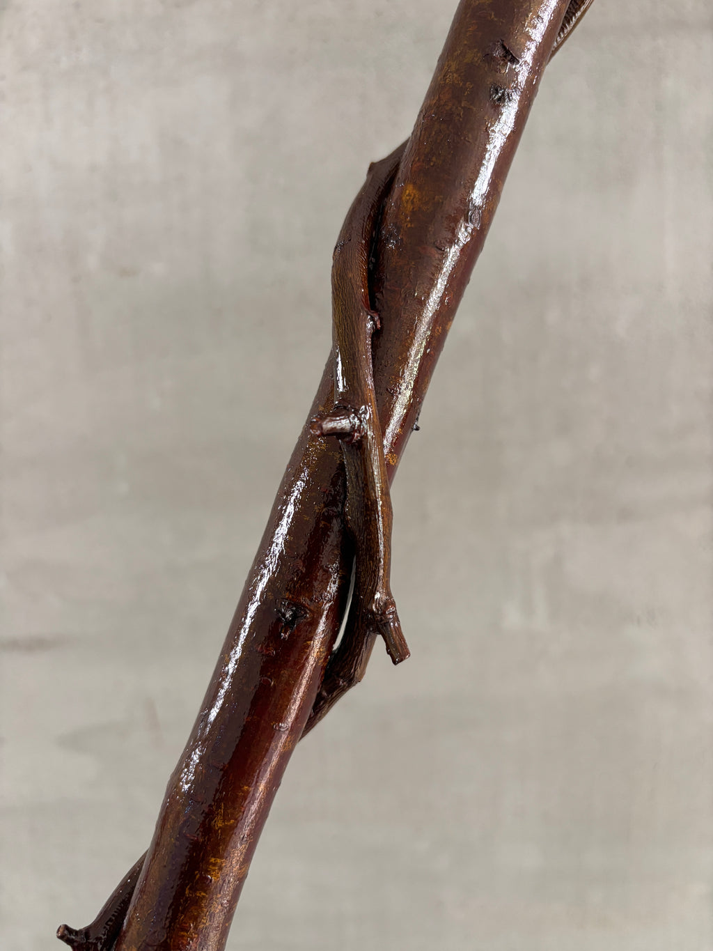 Blackthorn Wrapped Sapling