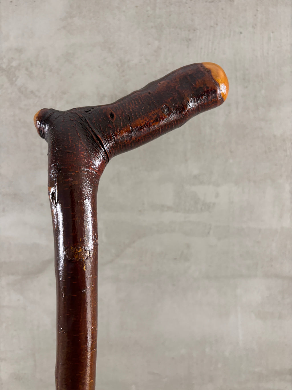 Blackthorn Walking Stick