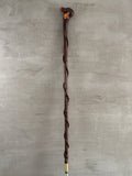Blackthorn Wrapped Sapling