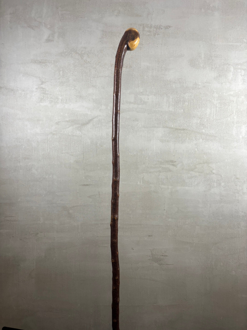 Blackthorn Shillelagh