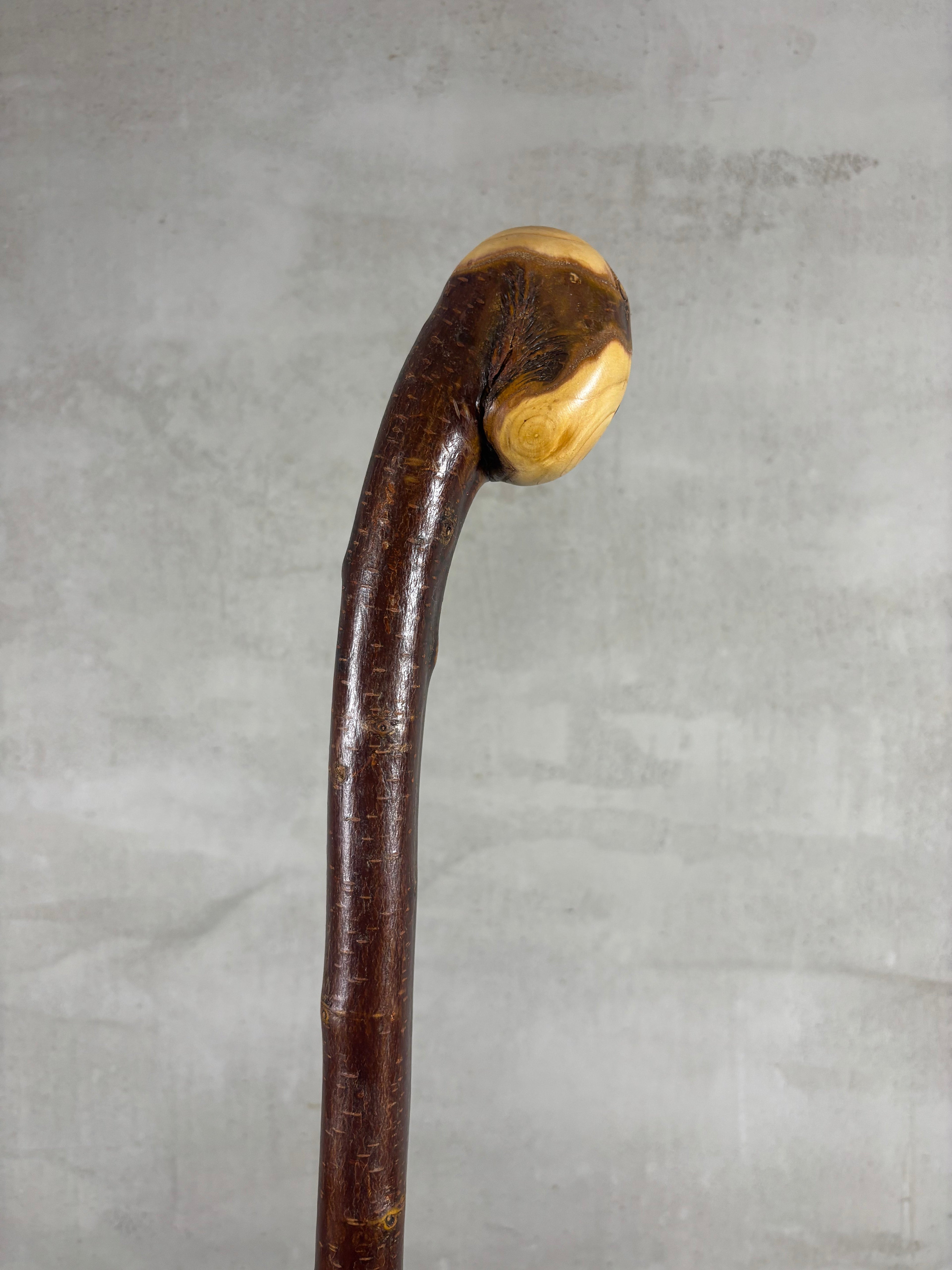 Blackthorn Shillelagh