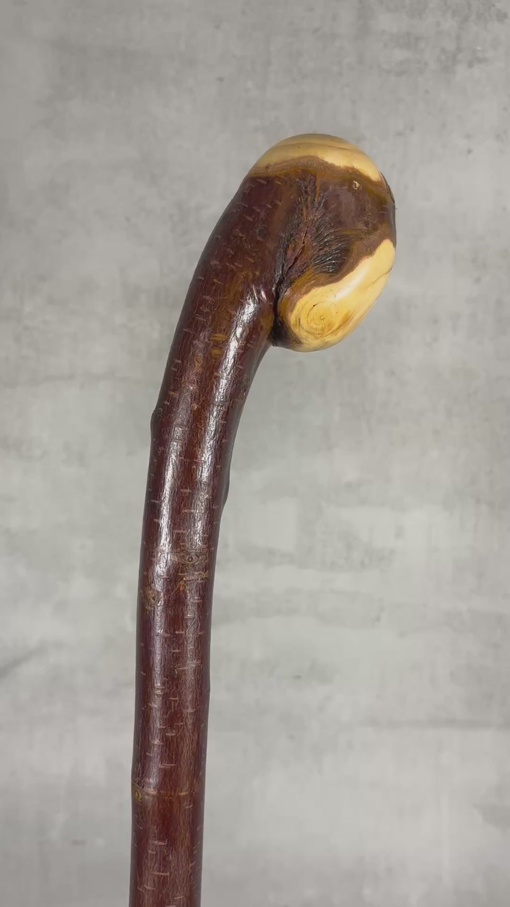 Blackthorn Shillelagh