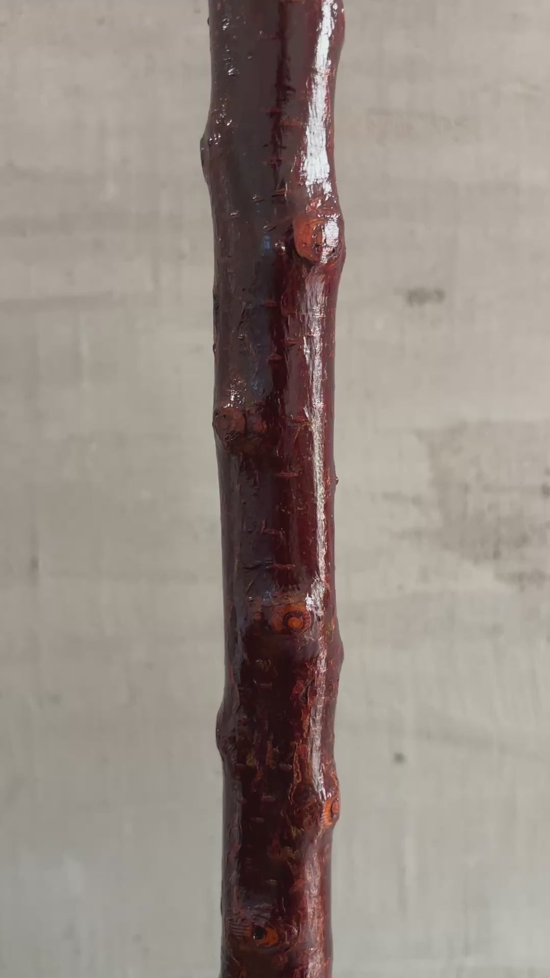 Blackthorn Shillelagh