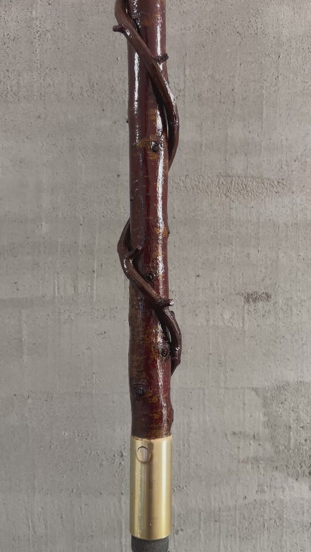 Blackthorn Wrapped Sapling